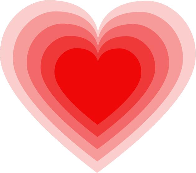 北师大宣城学校招生工作方案发布,宣城北师大什么时候报名