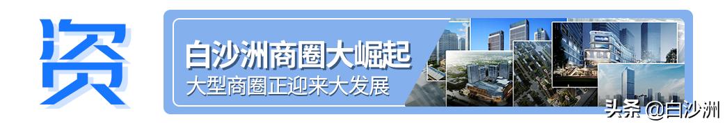 白沙洲丽水路未来规划,白沙洲大道以西规划