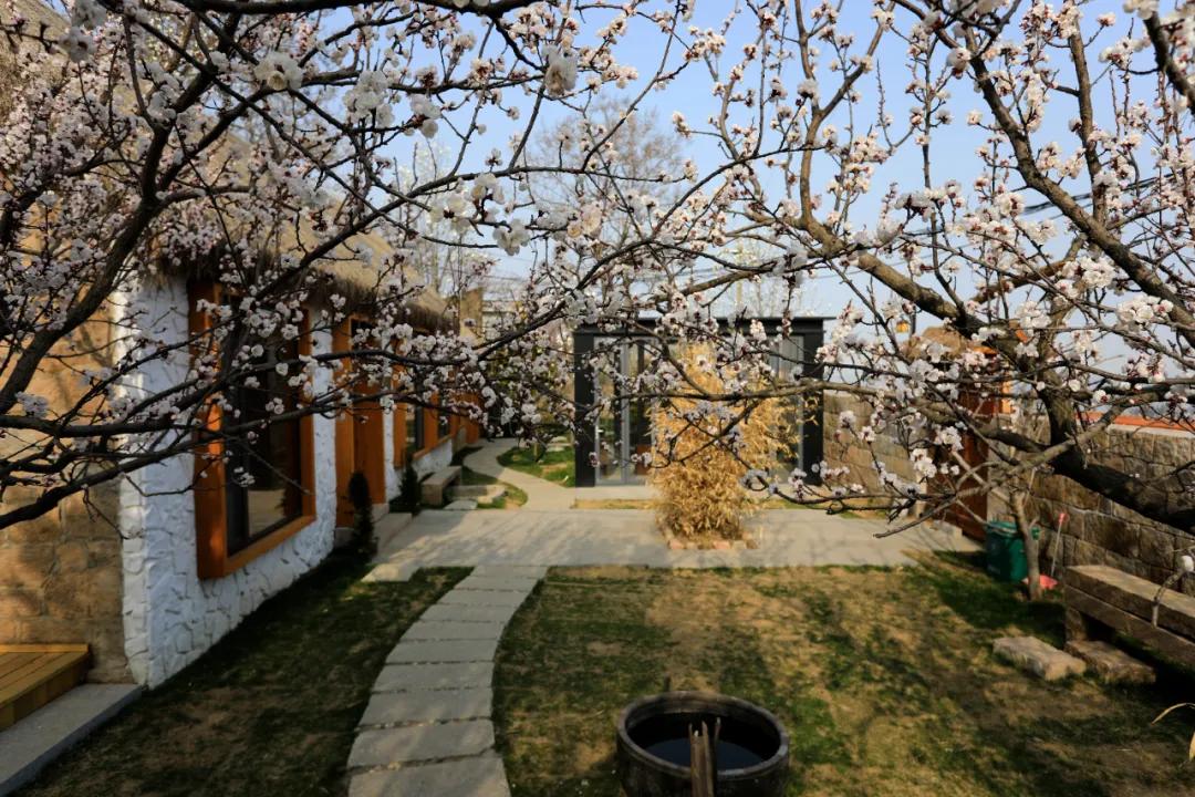 石岛停暖时间,石岛近期新闻