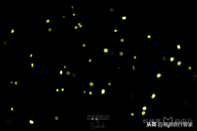 沙巴亚庇和仙本那的区别,沙巴经典必游10个景点