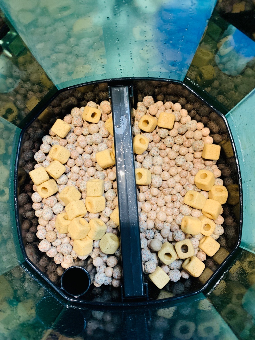 水草造景过滤教程,水草造景怎么过滤