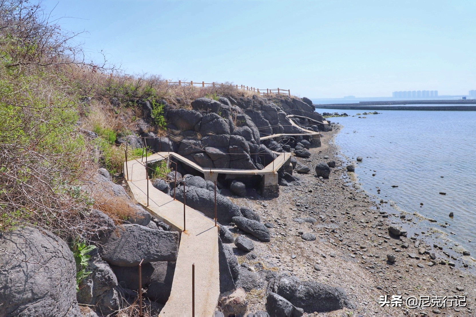 龙口的桑岛是活火山吗,龙口最大岛屿