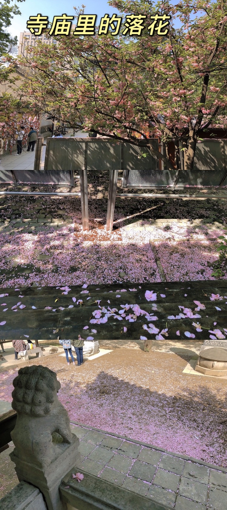 憨憨日常生活攻略,憨憨日常生活彩蛋