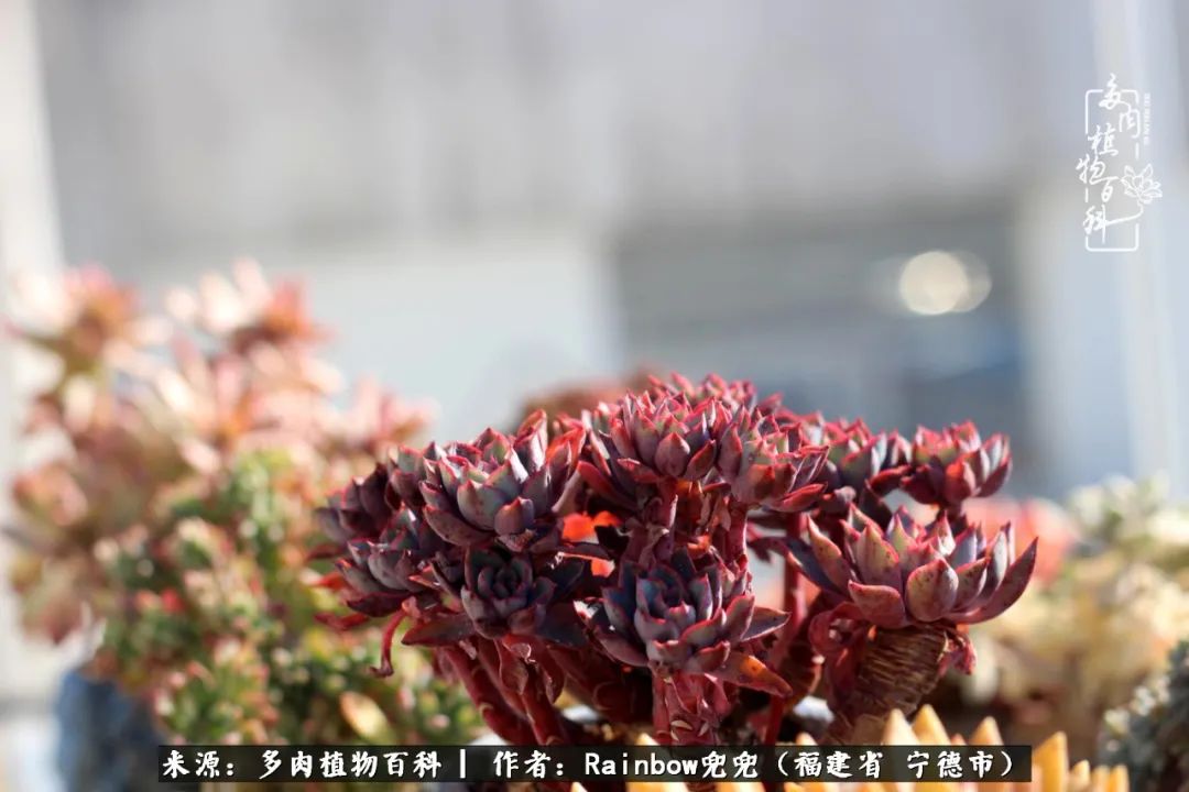 岁月无波澜余生不悲欢是啥意思,愿你岁月无波澜敬我余生无悲欢