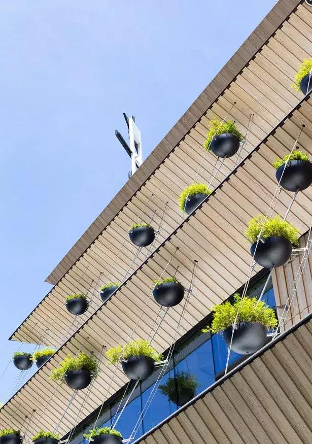 隈研吾最新作品集8款,隈研吾沉寂的十年