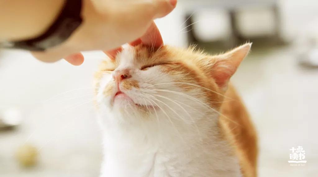 作为一个男人必须明白的22个道理,到了一定年纪越来越明白一个道理