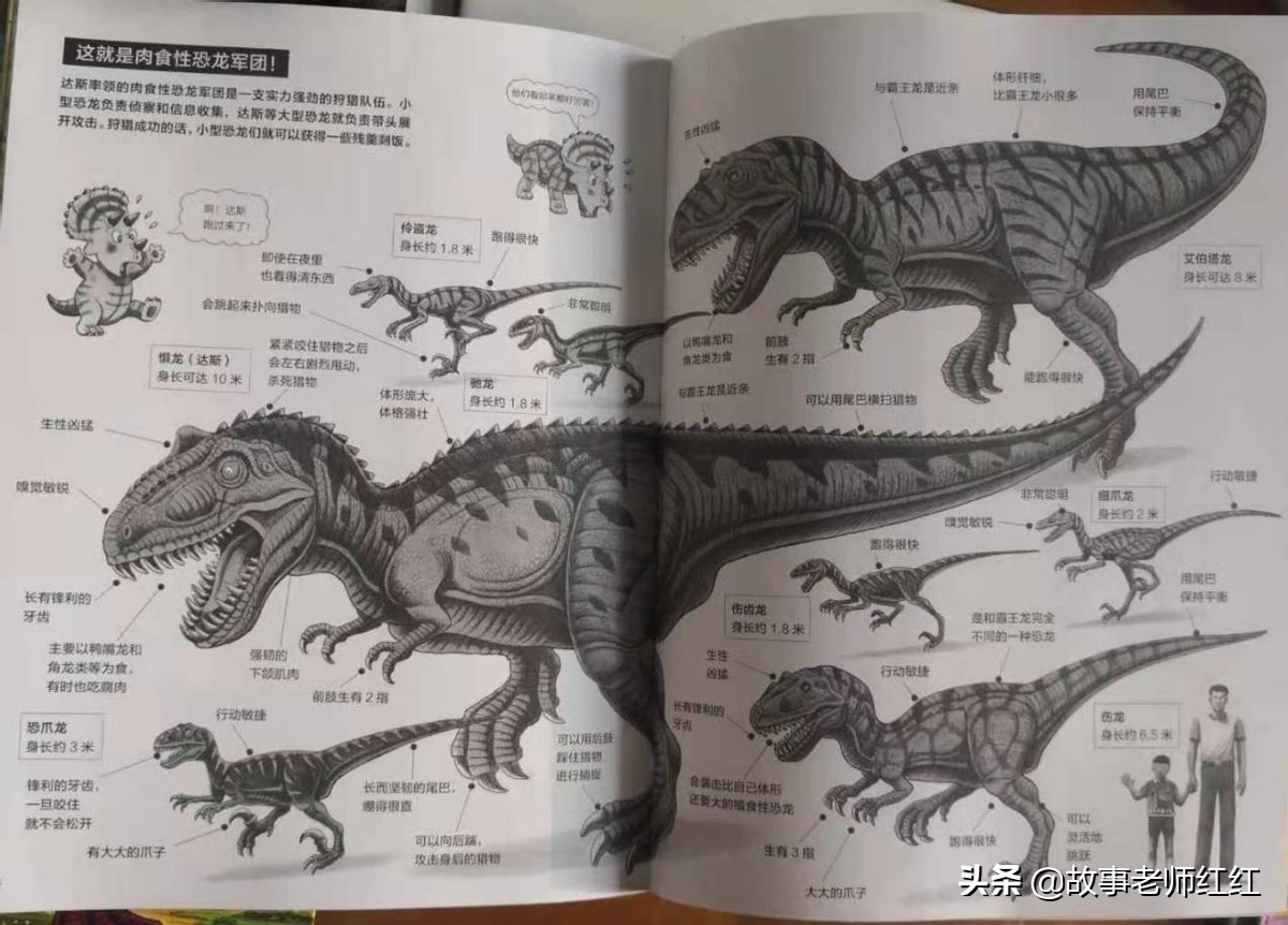 3-6岁儿童经典绘本恐龙世界,关于恐龙的绘本《恐龙世界探秘》