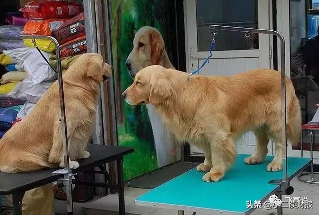 成都附近各大批发市场,成都第一大批发市场