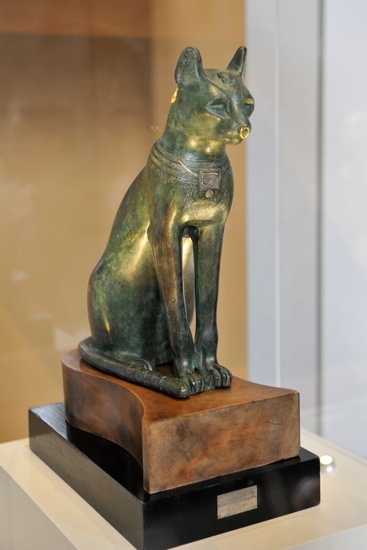 猫起源于中国还是起源于欧洲,猫起源与进化的区别