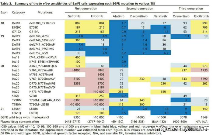 EGFR靶向药全面总结与展望-靶向治疗总结(二)