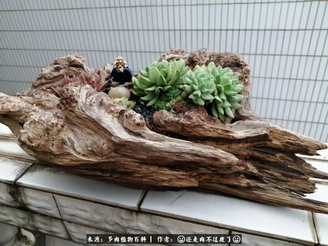 日照弘一法师,日照法师请师父