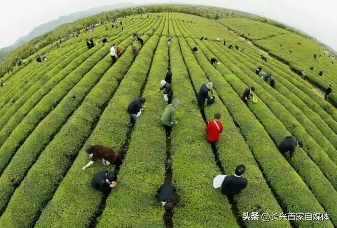 长兴水口，一个纯天然的最“理想”生活地