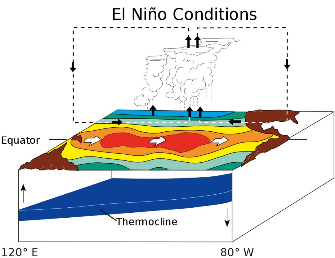 地球走向何处,地球南北极通往何处视频