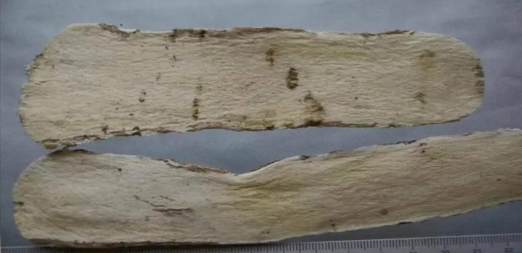 黄芪15克仙鹤草10克泡水喝作用,经常喝黄芪煮水有什么好处