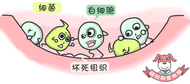 口腔溃疡和痔疮同时发生是上火吗,口腔溃疡你以为就上火那么简单吗