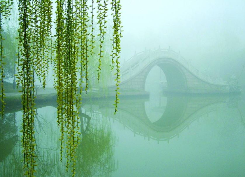 诗词春韵经典诵读,诗词春望古诗