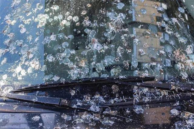 装修时窗户贴的广告胶怎么清理,墙上广告胶怎么清理干净