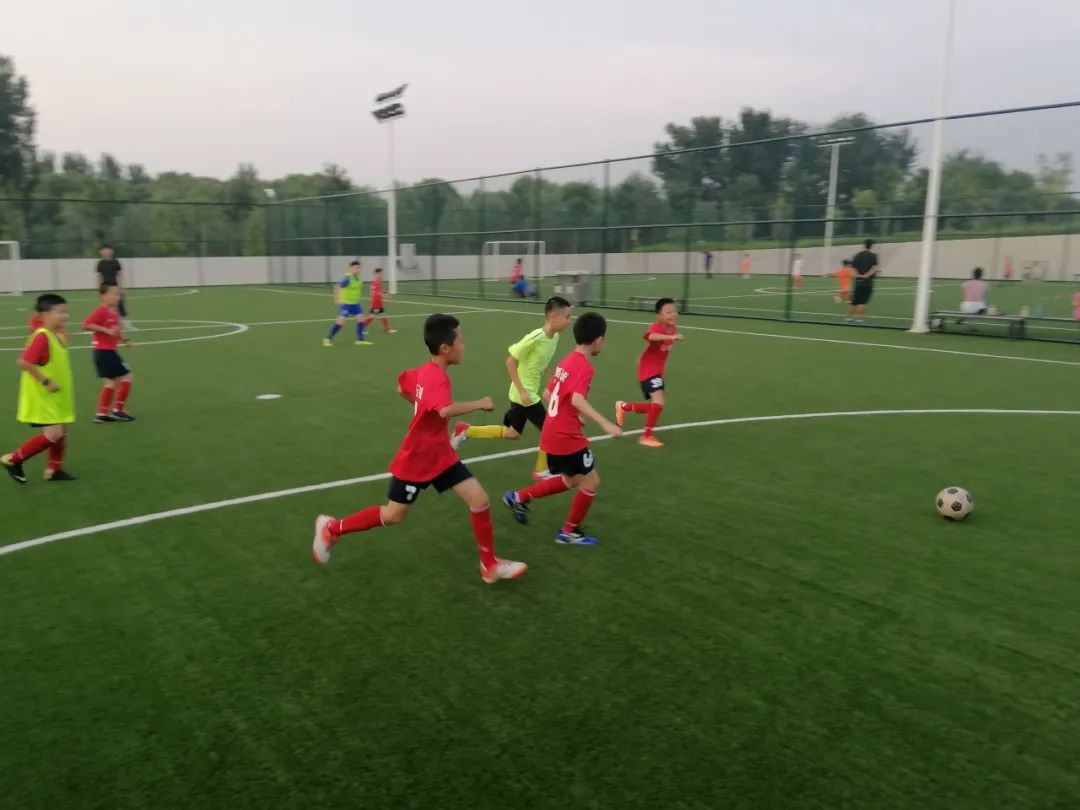 筑家未来|@入驻企业,未来科学城体育场福利来袭