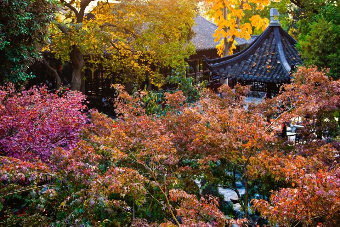 被严重低估的江苏成绩,扬州被严重低估的城市