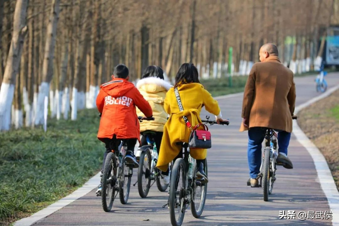 3月底天府绿道哪段最美,天府绿道彩色油菜花