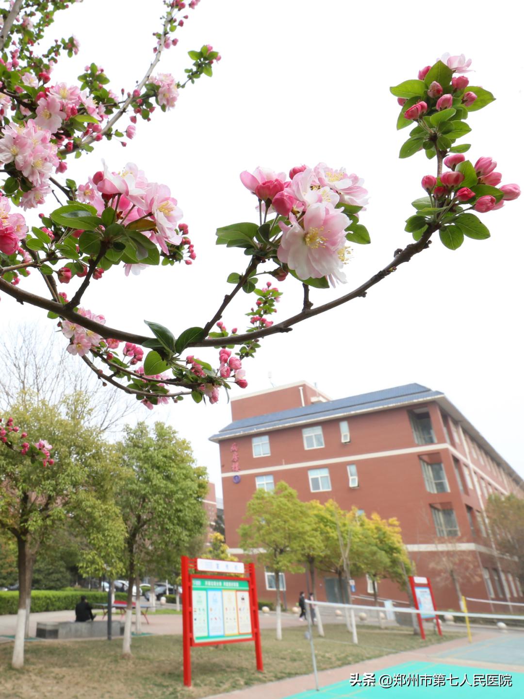 哮喘预防夏天,全国预防哮喘日