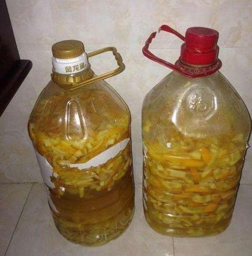 吃完桔子柚子皮皱巴巴,发酵成肥埋盆里,枝条窜出盆变成绿瀑布