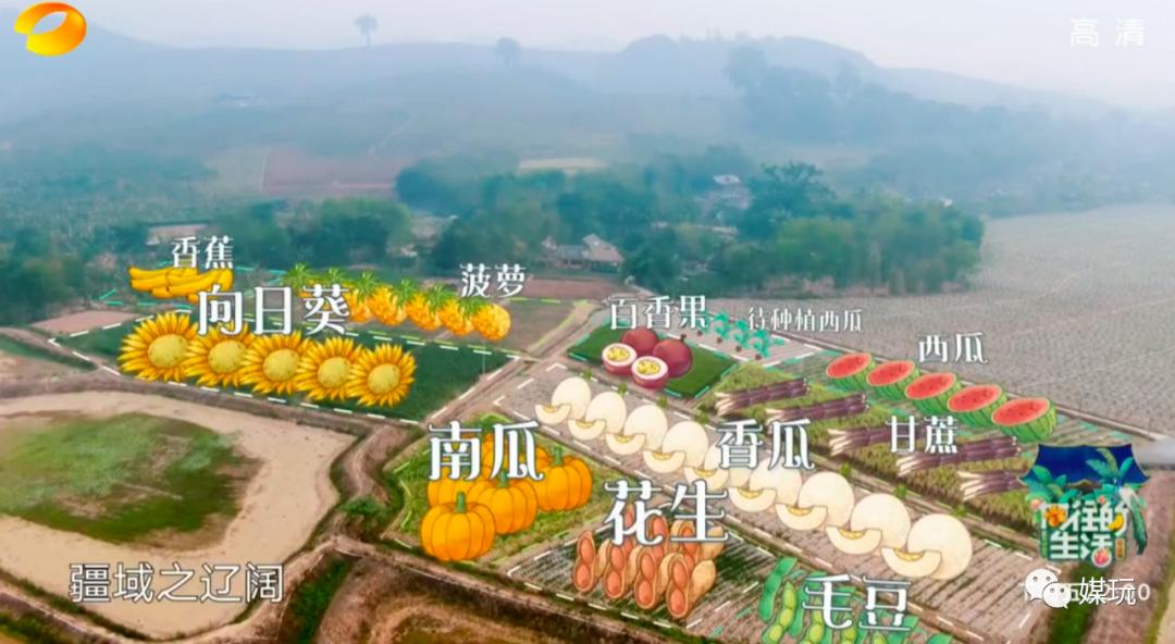 向往的生活4为什么被批评,向往的生活4定档