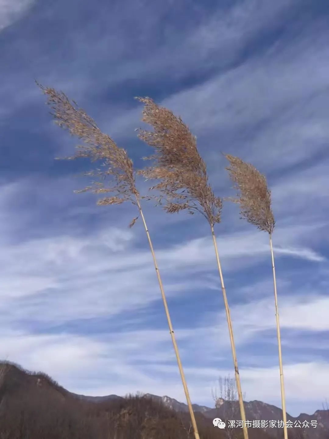 抗击新冠疫情专题展,抗击疫情专题展开展