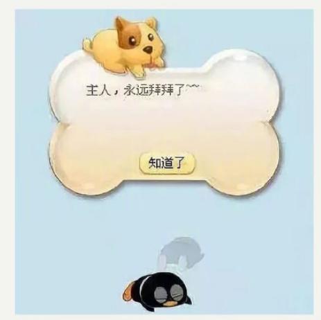 QQ注销功能来了！青春，你舍得注销吗？