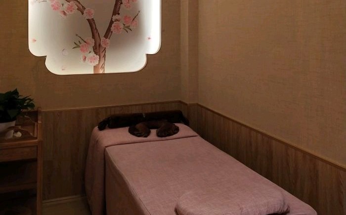 2020年【鄯洲行修脚会所】即将驻扎青海·西宁  现在招生了