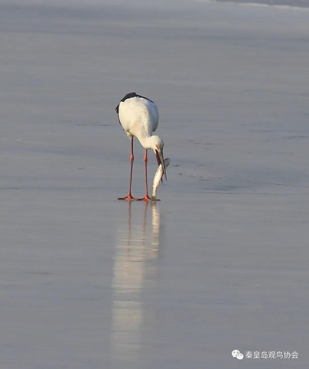 爱心让世界温暖的句子,爱心让生活更温暖