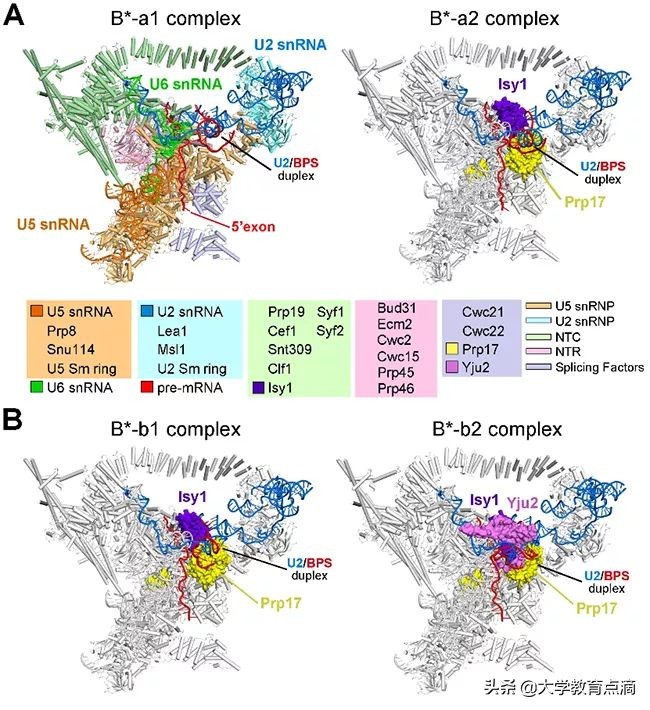 清华最新科技研究成果,清华大学尖端科技成果
