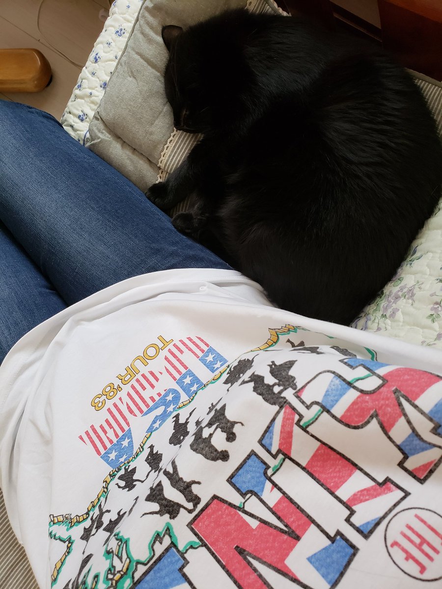 日本网友发现猫咪最爱，GU和优衣库的牛仔裤，穿上就能让它爱上你