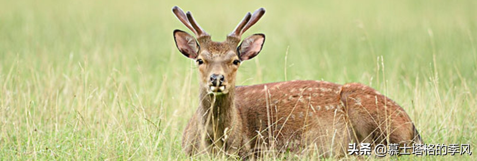 海南最便宜的养老小镇,海南被低估的县