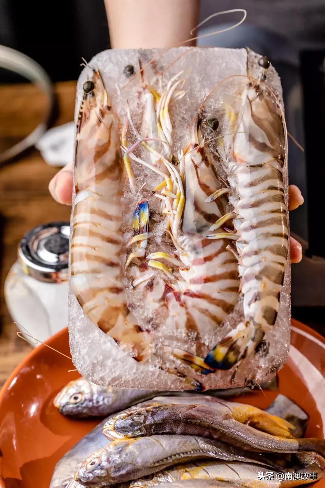 南澳岛渔民捕捞视频,南澳岛渔船捕捞