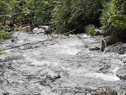 魅力滇滩图片,最美滇滩