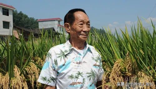 老人哭泣送别袁隆平,夫人泪目送别袁隆平