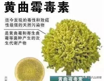 一网打尽：且看这些老酒网红中的“乔碧萝殿下”