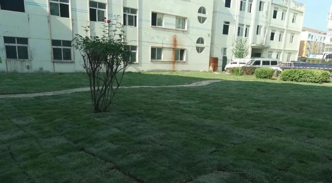 最靓的山亭,最美的遇见︱巩固国家卫生城市,我们在行动