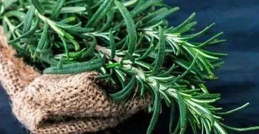 毛孔上的螨虫怎么排出来,毛孔粗大黑头螨虫怎么处理