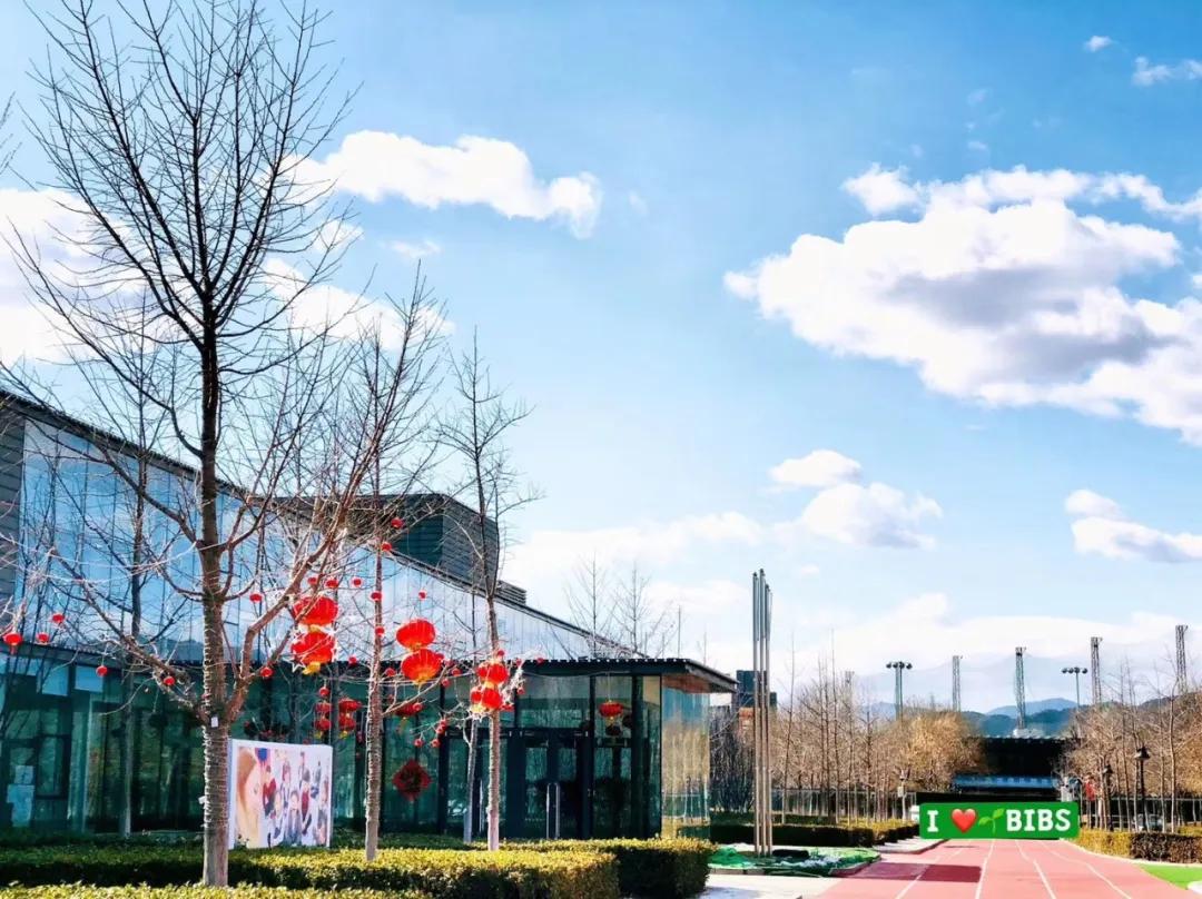 青苗国际双语学校海淀学费,北京青苗双语国际学校怎么样