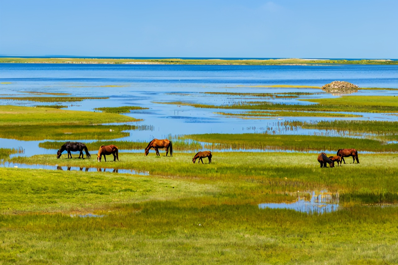 从青海到巴丹吉林沙漠,用实战解读EOSR5