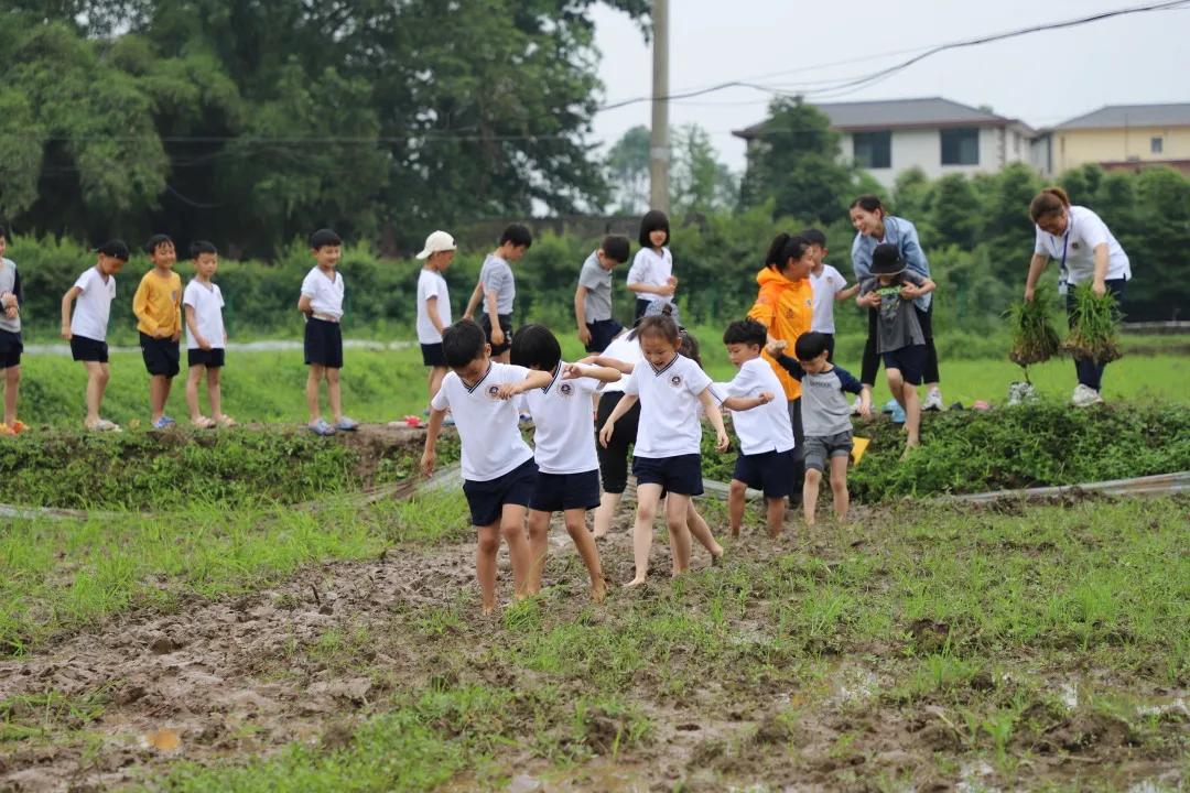芬兰教育培训模式,芬兰教育如何走下神坛