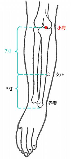 三·膝关节后侧痛