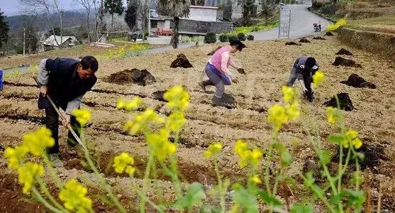 水果怎么比较不甜,涨知识水果