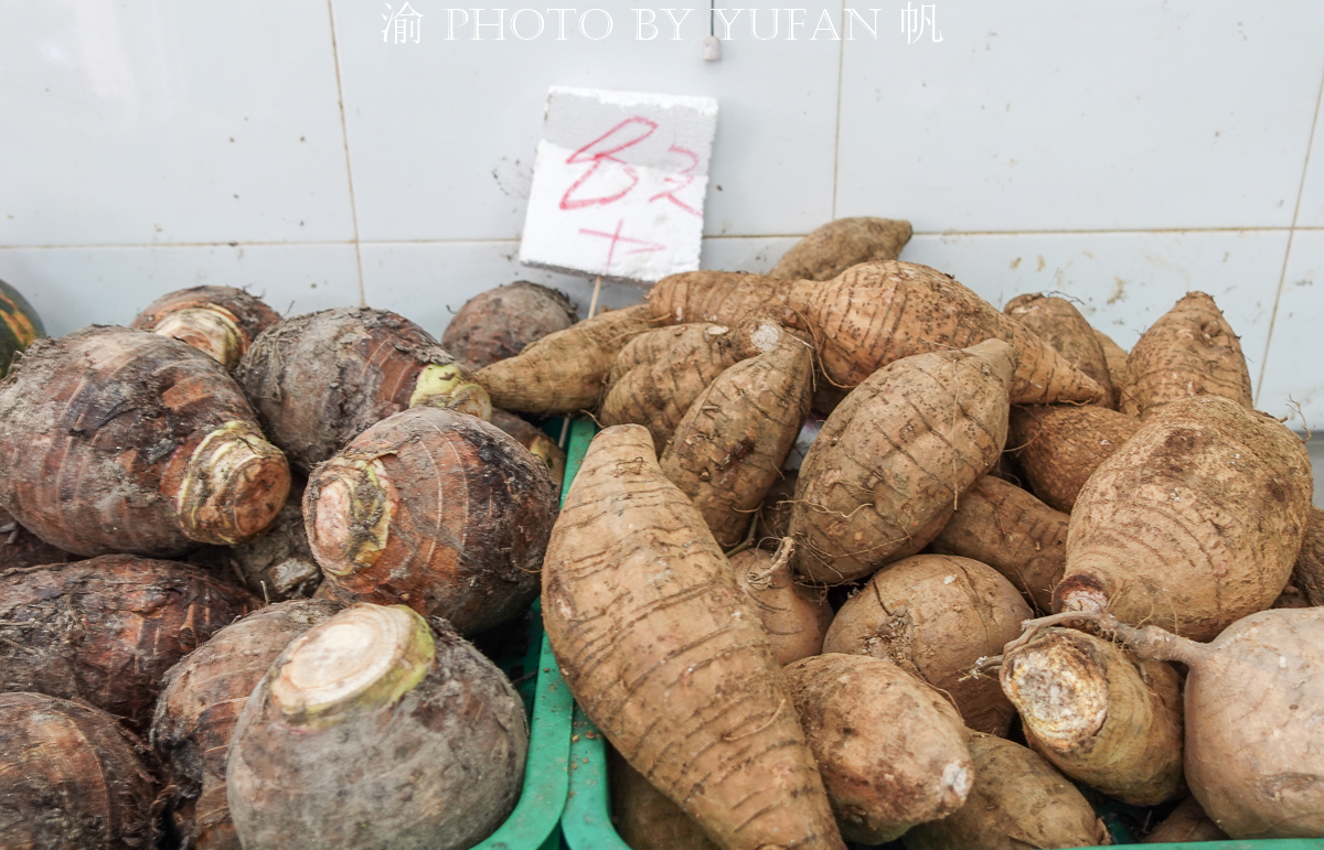 闲逛老店林立的澳门十月初五老街,菜市场的菜价有些出乎意料