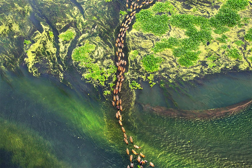 agora摄影比赛,agora摄影比赛视频