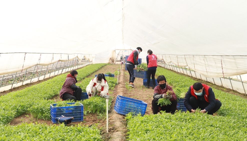 打造三位一体养生养老服务新模式,互联网智慧健康养老服务