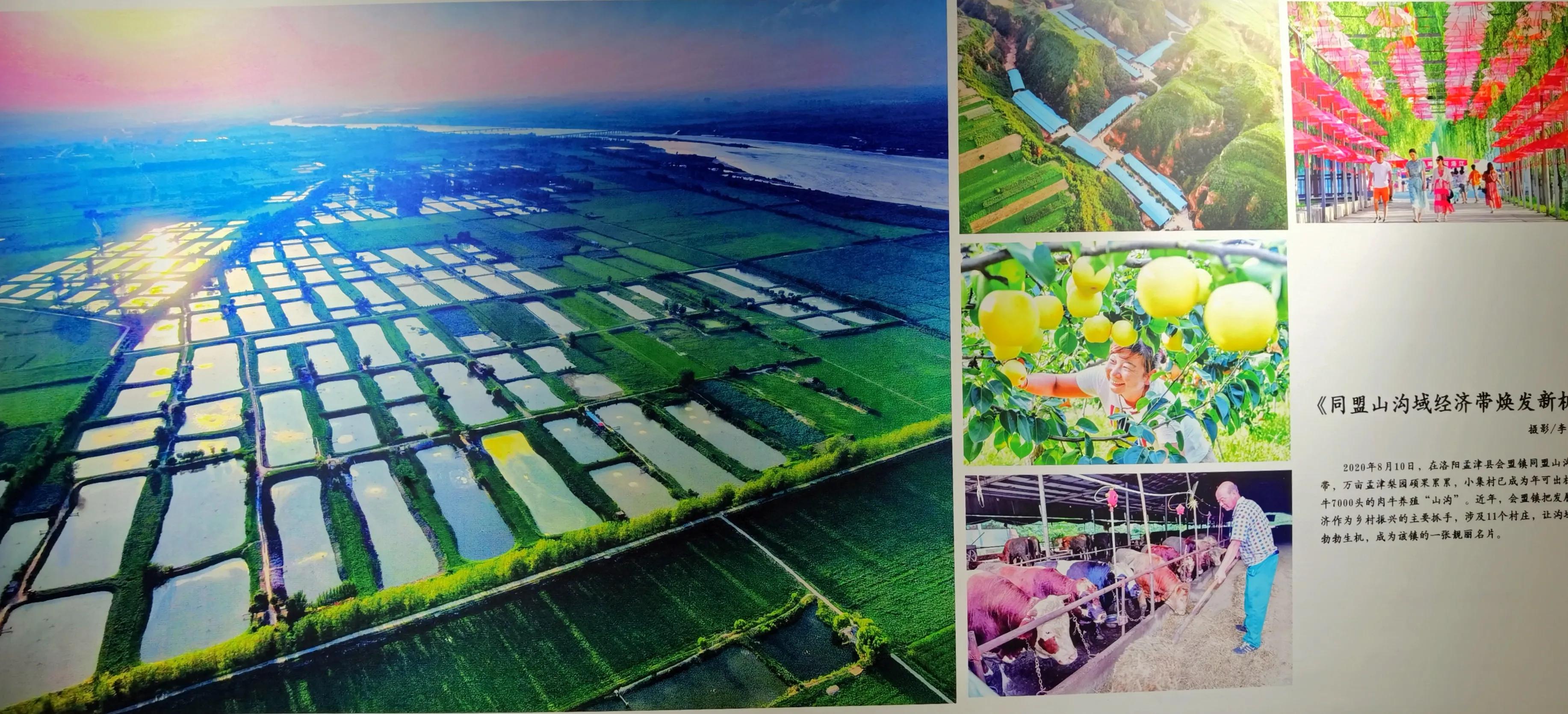 洛阳免费看书的地方,洛阳看书的地方