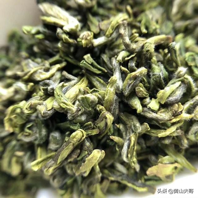 茶中翡翠，歙县滴水香——一颗蒙尘在北纬30°线上的黄山明珠